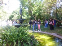 /album/o-ambiente-natural-como-laboratorio/lago-rapaz-de-bronze-jpg/